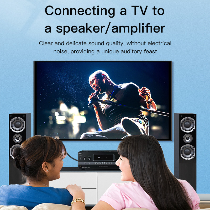 CHOSEAL สาย RCA สายสัญญาณเสียง - Home Cinema Amplifier บทวิจารณ์และราคา